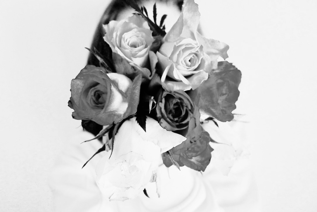 DANCERoses